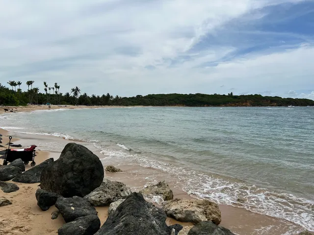 Mahi Mahi Bar & Grill