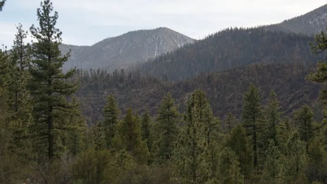 Aspen Glen Picnic Area