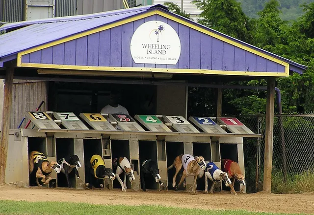 Fairfield by Marriott Inn & Suites Weirton