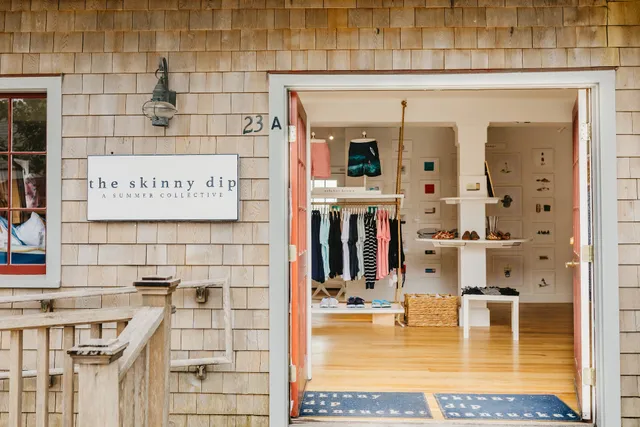 The Skinny Dip: A Summer Collective