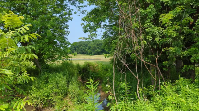 Arnold Hike and Bike park