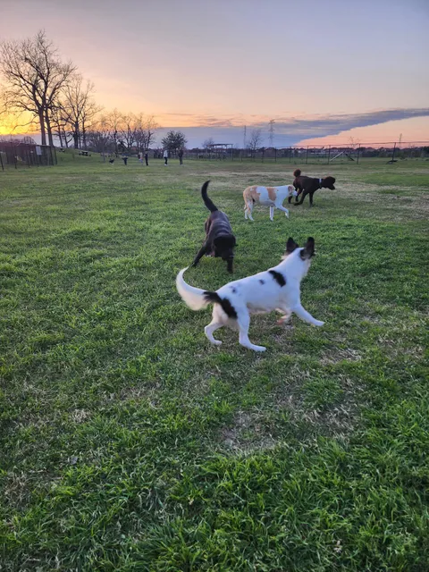 Jersey Village Dog Park