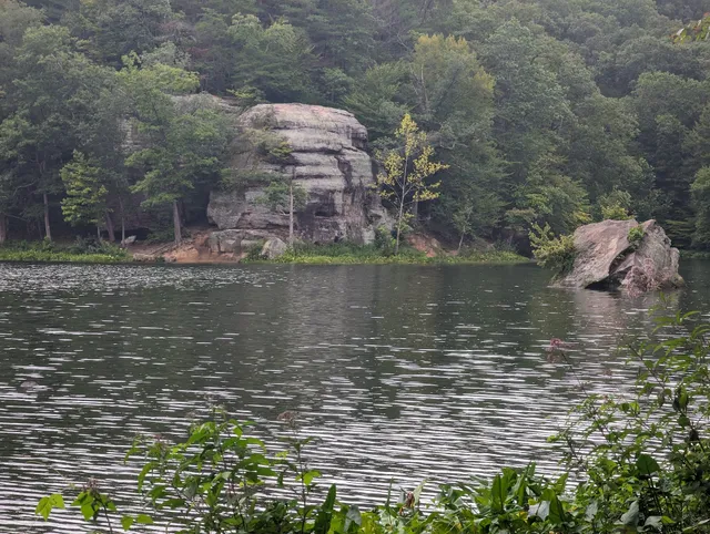 Wayne National Forest