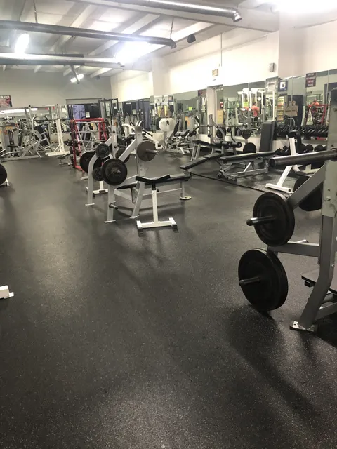 Willmore Total Fitness - Arab