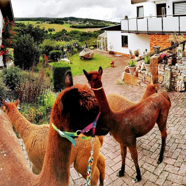 Ferienwohnung Alpaka-Blick