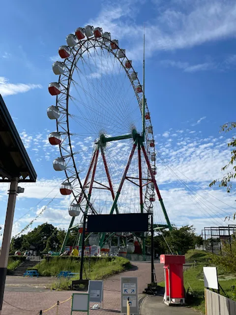 The Ferris Wheel