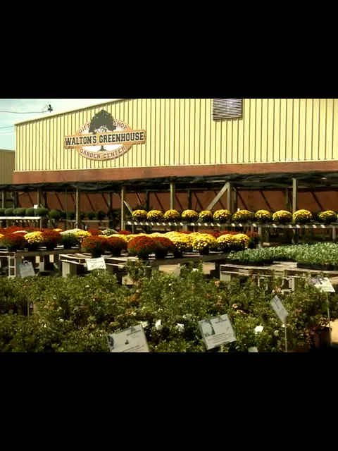 Walton's Greenhouse Tupelo