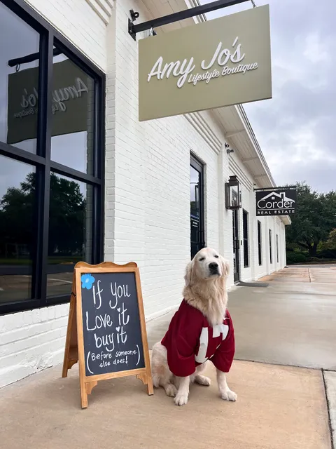 Amy Jo's Lifestyle Boutique