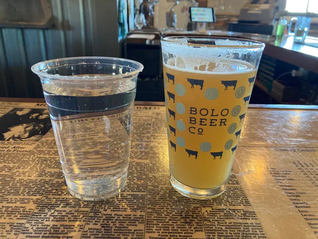 Bolo Beer Co.