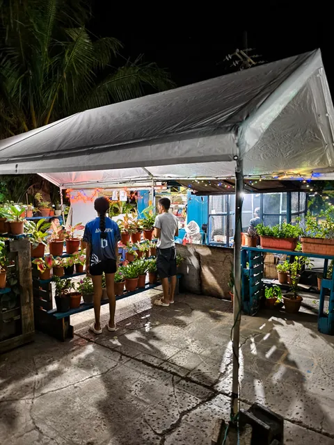 Best BBQ local in Palau