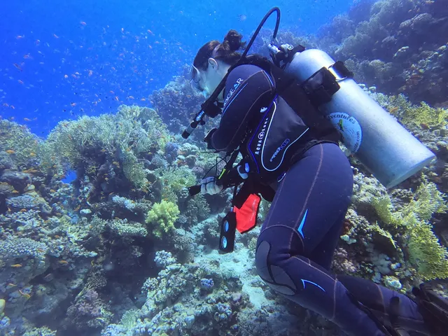 Red Sea Life Diving Center