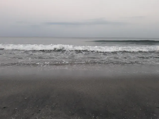 photo-3