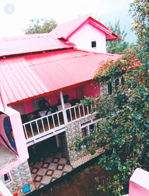 Pink House Homestay
