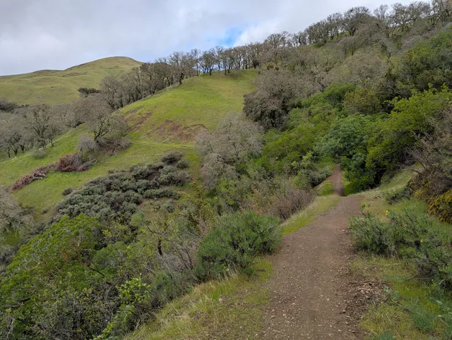 Mount Diablo State Park North Gate Entrance