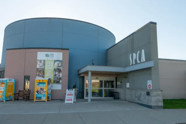 Hamilton/Burlington SPCA