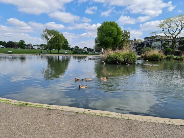 Prince of Wales Pond