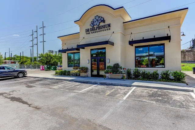 Dr Delphinium Designs & Events