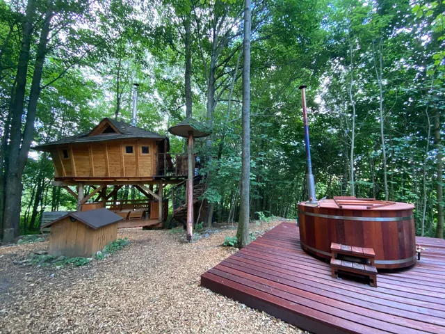 Tree House Sněžník