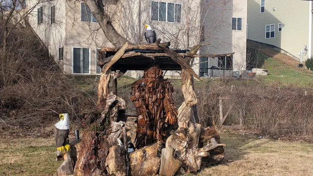 Rancak Taxidermy & Wildlife Store