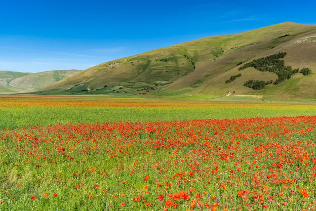 Piani Di Castelluccio