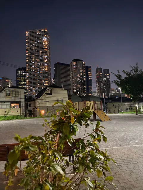 Nakano Kuritsu Honichi Park