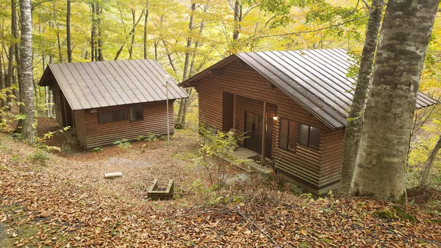 Yazu Hatto Furusato-no-Mori Forest
