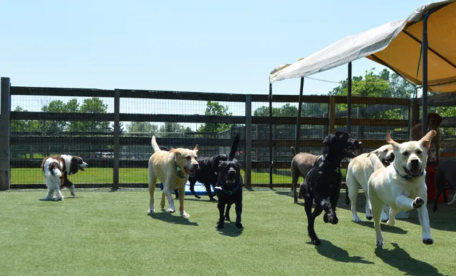 Charlestown Township