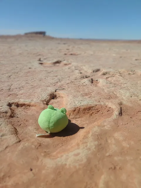 Tuba City Fair Ground Arena