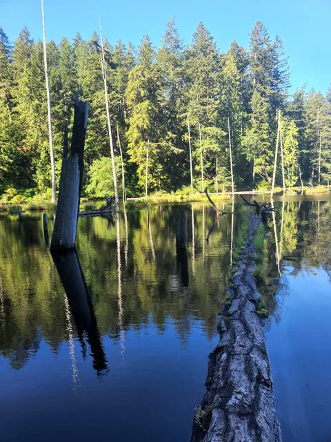 Little Cranberry Lake: A Avenue Trailhead