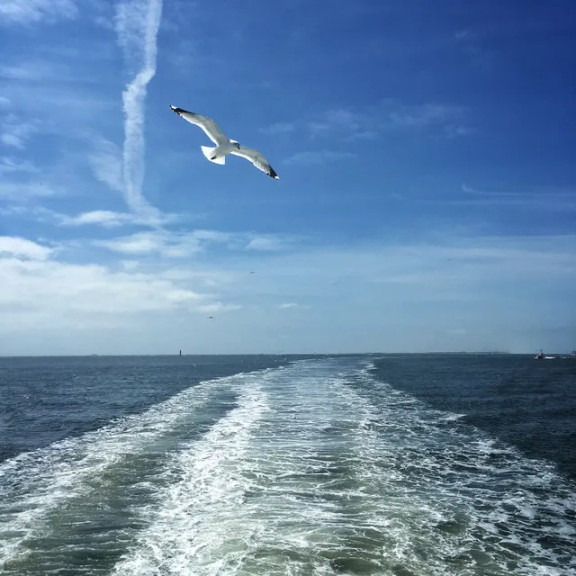 Soltausche Ferien Norderney
