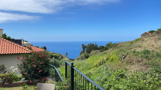 Blooming Botanic Houses