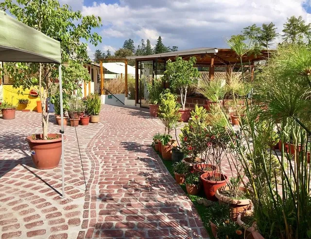 Hostal Quito Terrace