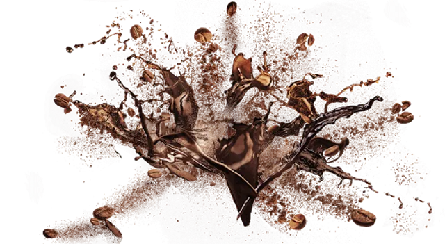 PureGusto Coffee Company