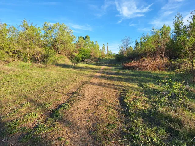 Източен парк