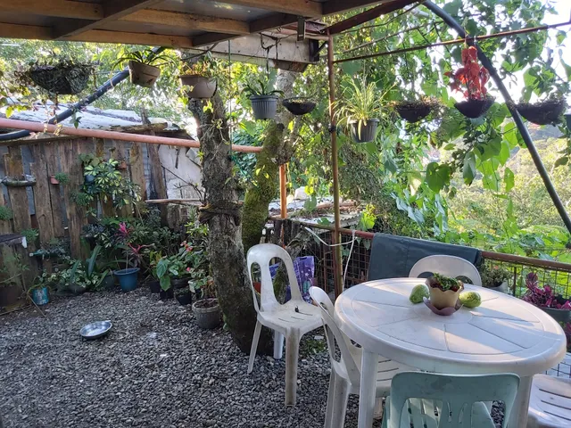 Tribuhaus Backpackers Inn