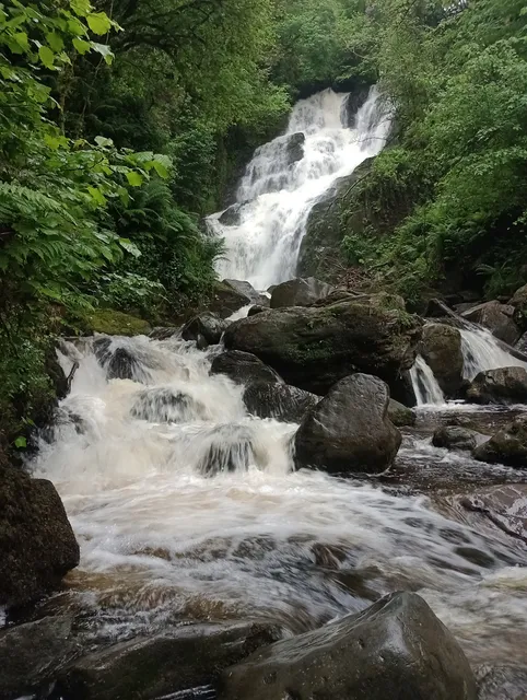 Killarney National Park Car Park
