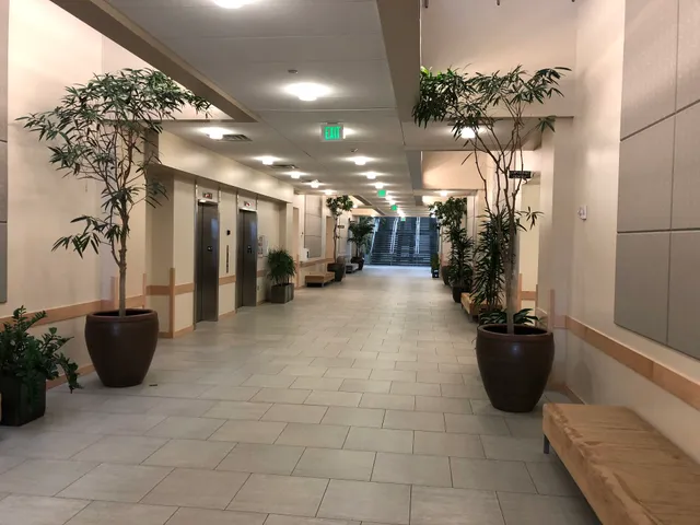 College of Life Sciences