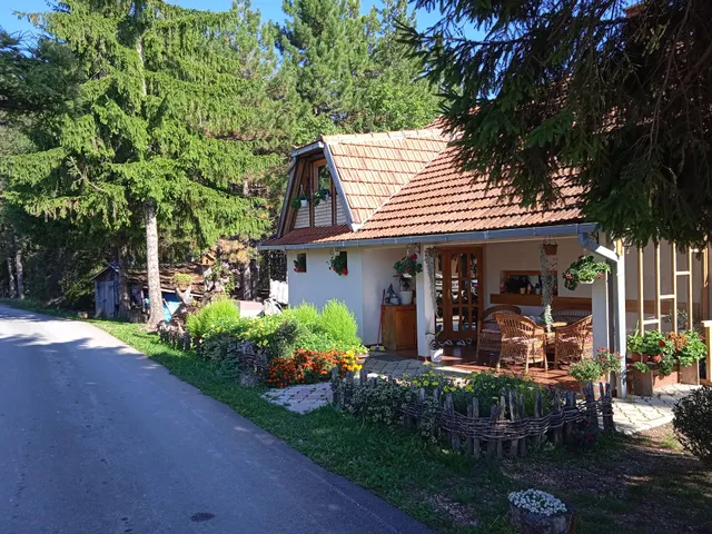 СРДИЋА КУЋА