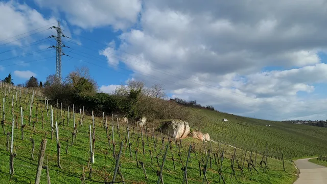 Naturdenkmal Dautenfels