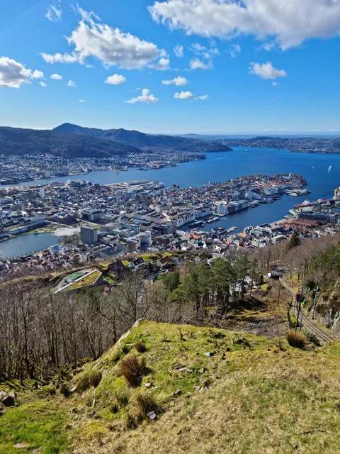 Fløyen Panorama