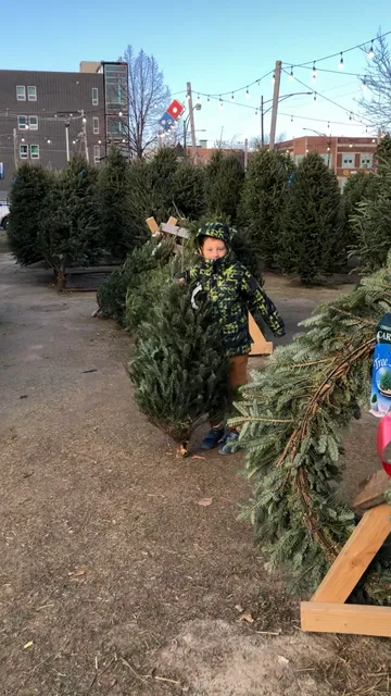 Chicago’s Christmas Trees