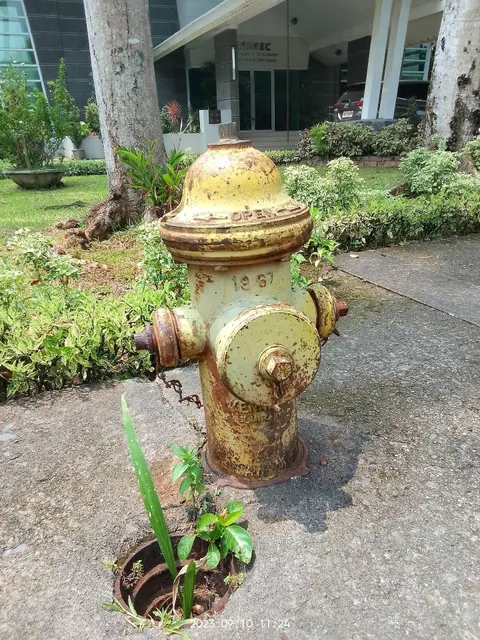 photo-1