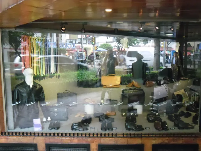 Michel Domit - Zona Rosa