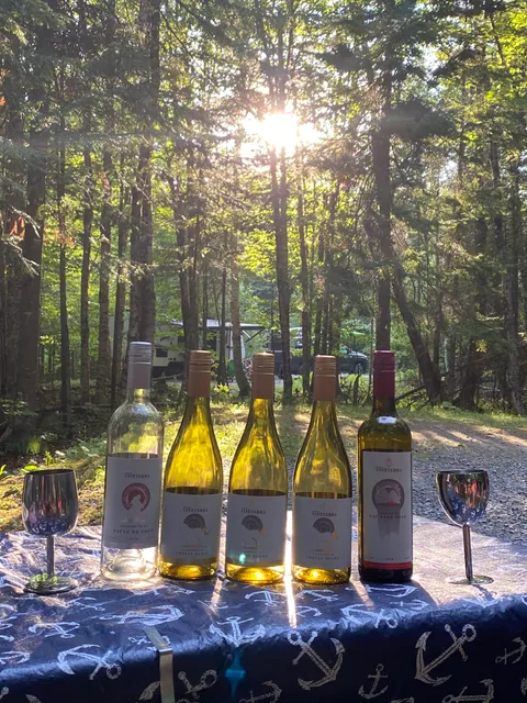 Domaine Vineterra, vignoble