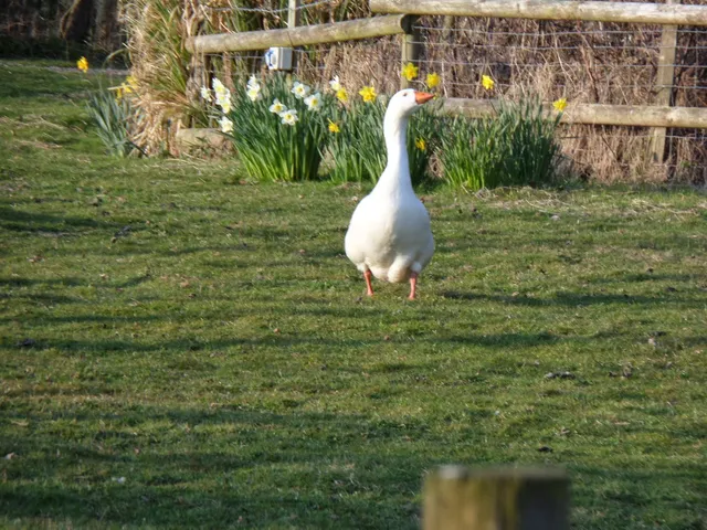Roebeck Country Park