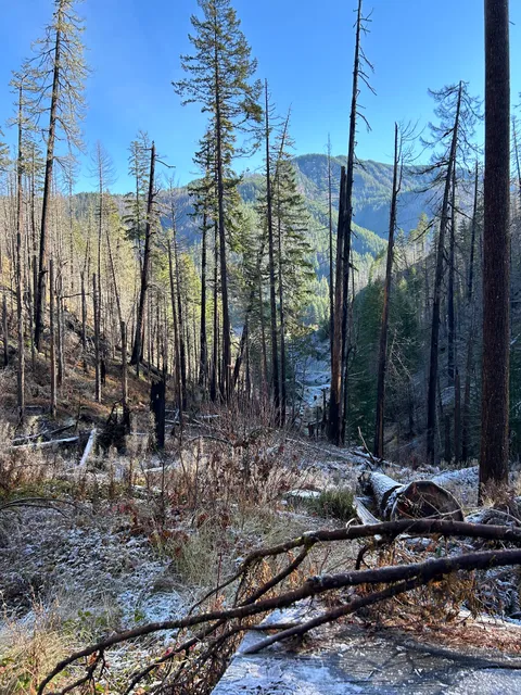 Terwilliger Hot Springs