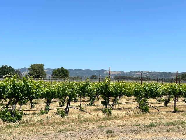 Edge of the World Tours