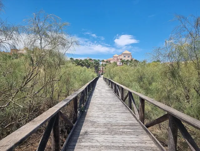 Mar Canela Apartmentos