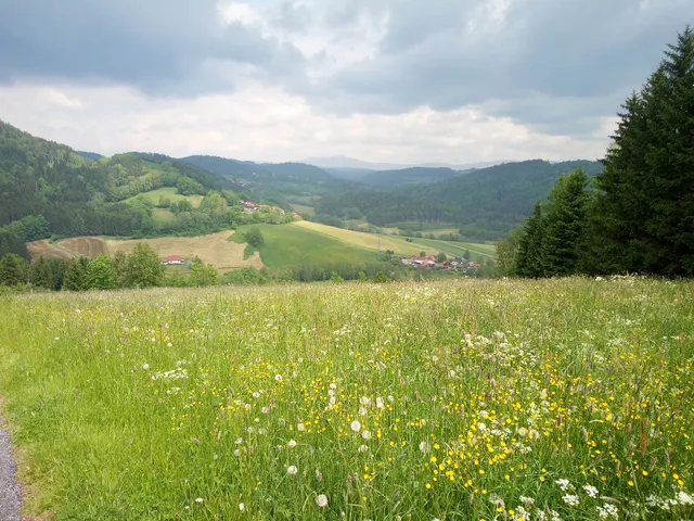 Ferienwohnungen Grill