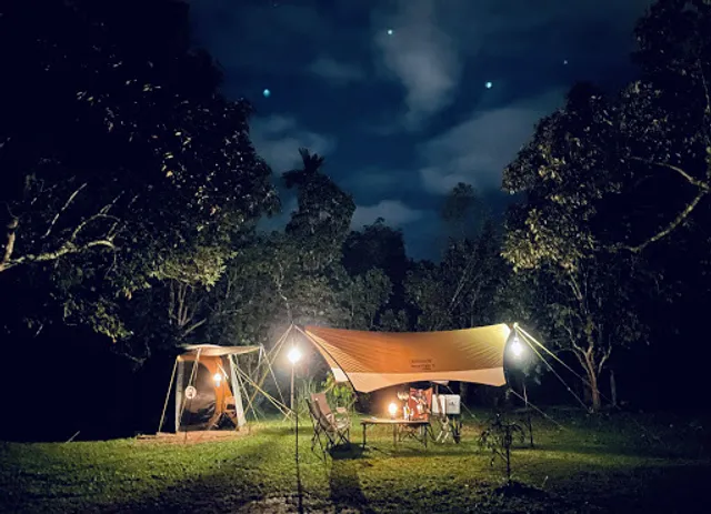 Hammocks By The River